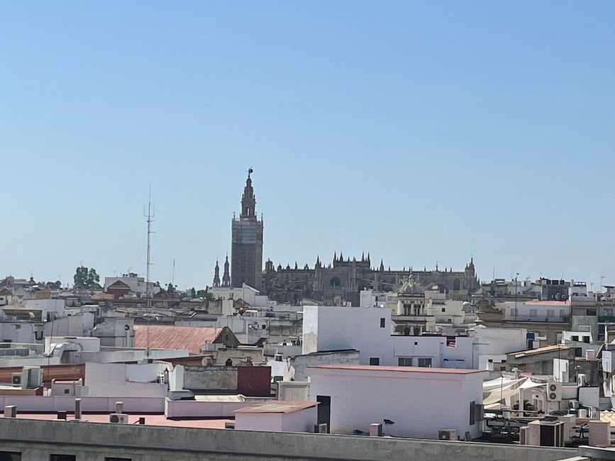 Sevilla, Etiketa 37