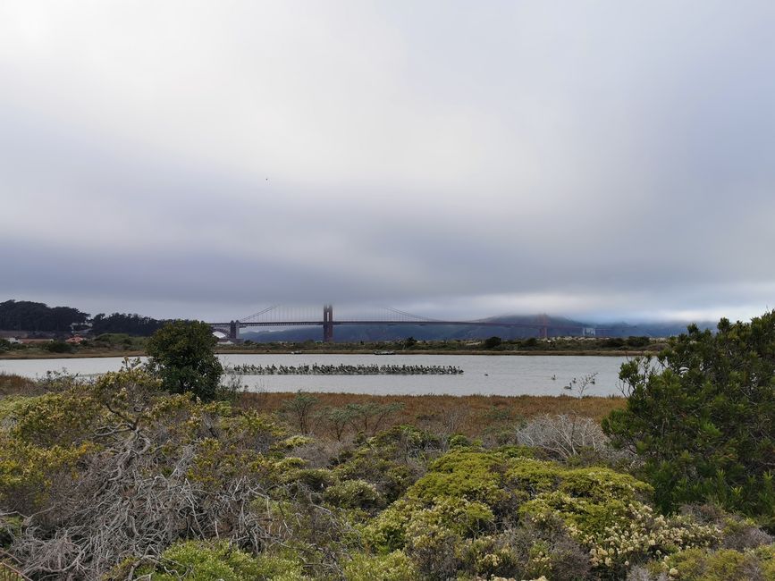 Blick zur Brücke vom Presidio of San Fransisco