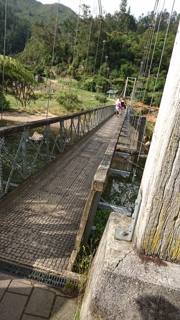 Suspension bridge to the gold miner's tracks