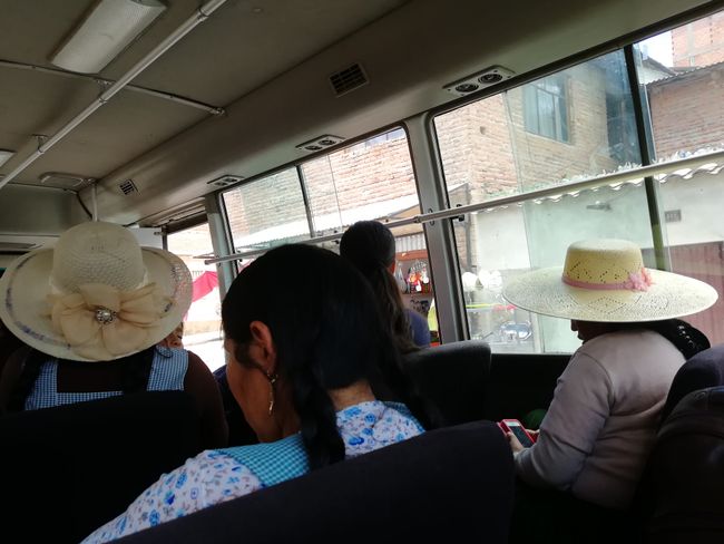 Busfahrt zum Parque Cretácico