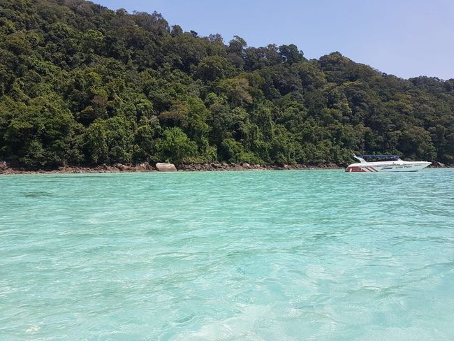 Snorkeling trip to the Surin Islands