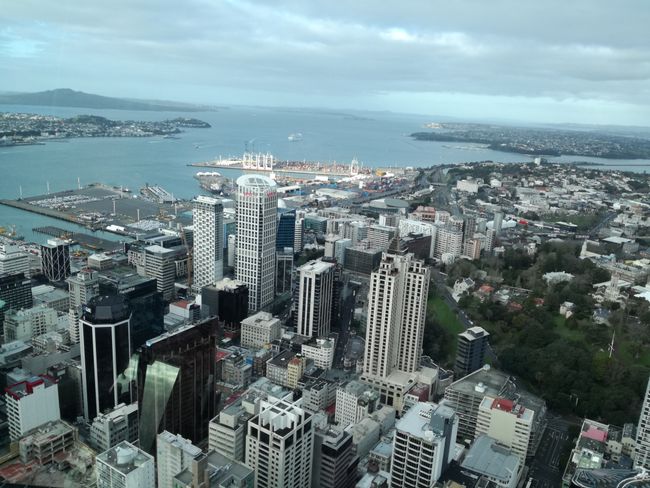 Arrival: Auckland and the Bay of Islands