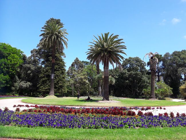 Botanic Garden St. Kilda 