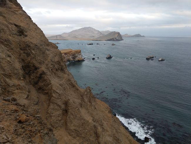 Un día emocionante en Paracas