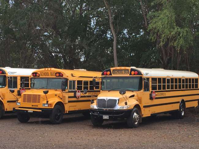 Typical American school buses