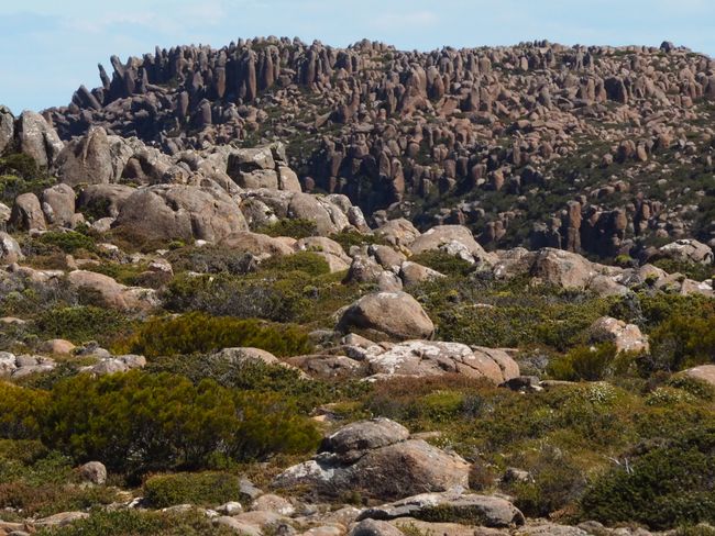 Mount Wellington & Hobart