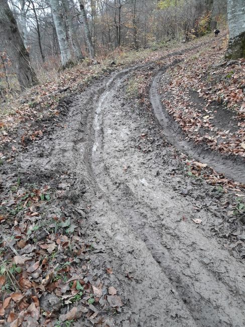 Mud on all paths