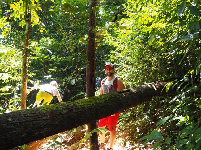 Jungle Trekking - Kuala Trengganu to Kuala Tahan