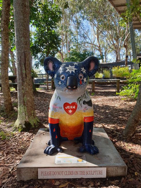 Koala figures in Port Macquarie