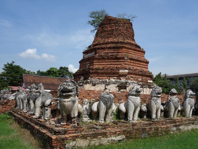 Lions carrying a chedi: Ayutthaya, Wat Thammikarat