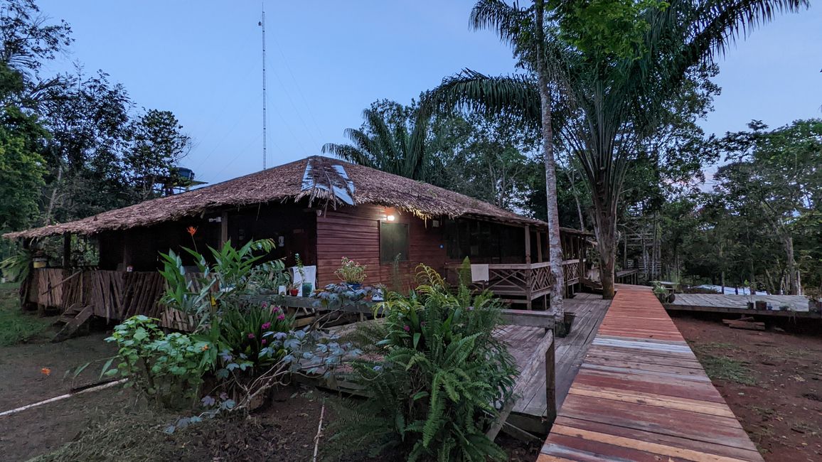 2. Día en la selva amazónica