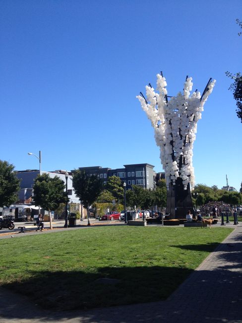 Bay West: San Francisco y Berkeley