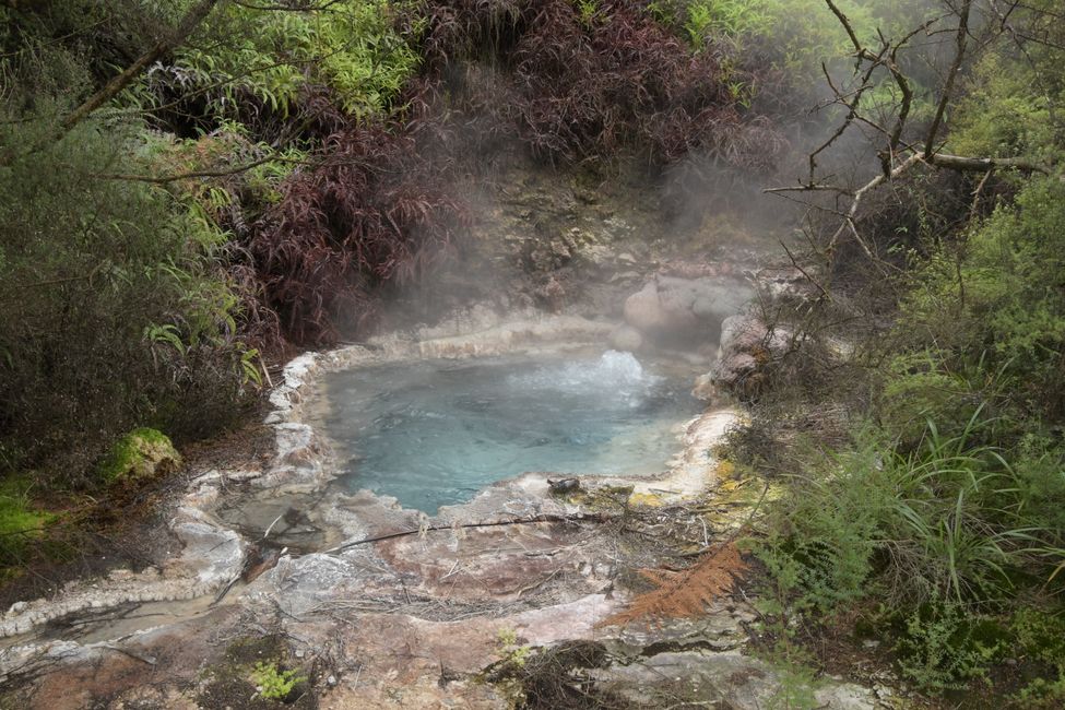 Orakai Korako Thermal Area - Boiling spring