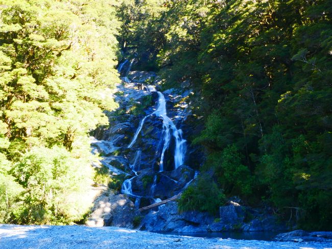 On the way to the West Coast - Fantail Falls
