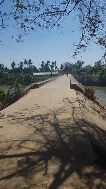 Then across the bridge from Don Det to Don Khon. 