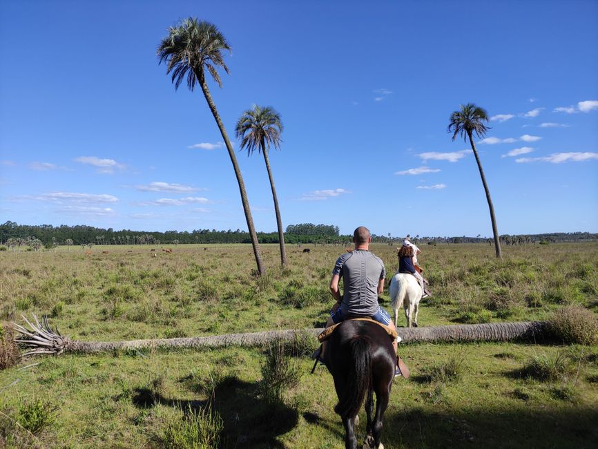 Aurora de Palmar (Entre Rios) (Dec 5-8) Day 1 Horseback Riding