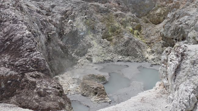 Tag 9 Wai-O-Tapu Thermal Wonderland