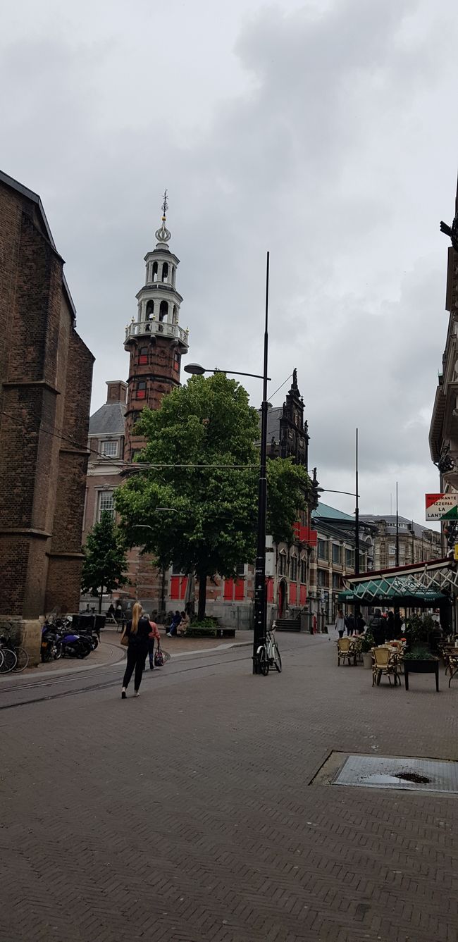 Den Haag (NL)