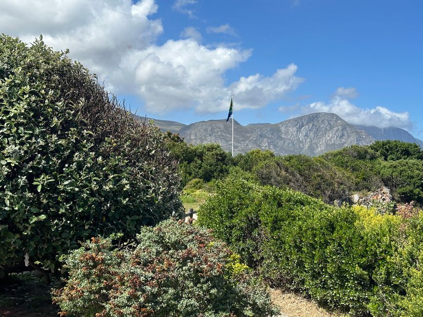 Hermanus ♥️