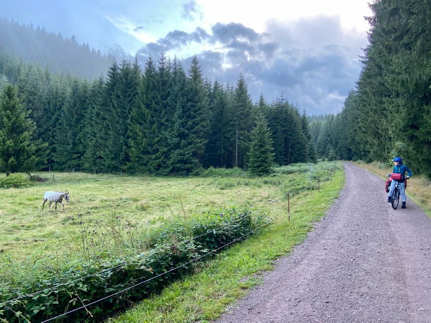 Tag 9: Die schwerste Etappe - hoch in den Thüringer Wald