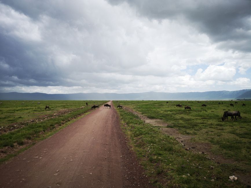 Ngorongoro National Park