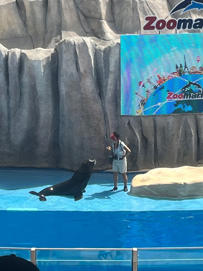 Zoo Marine – delfiny i mnóstwo zabawy w kąpieli