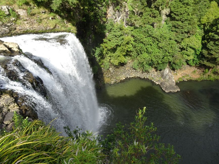Whangarei-Wasserfälle