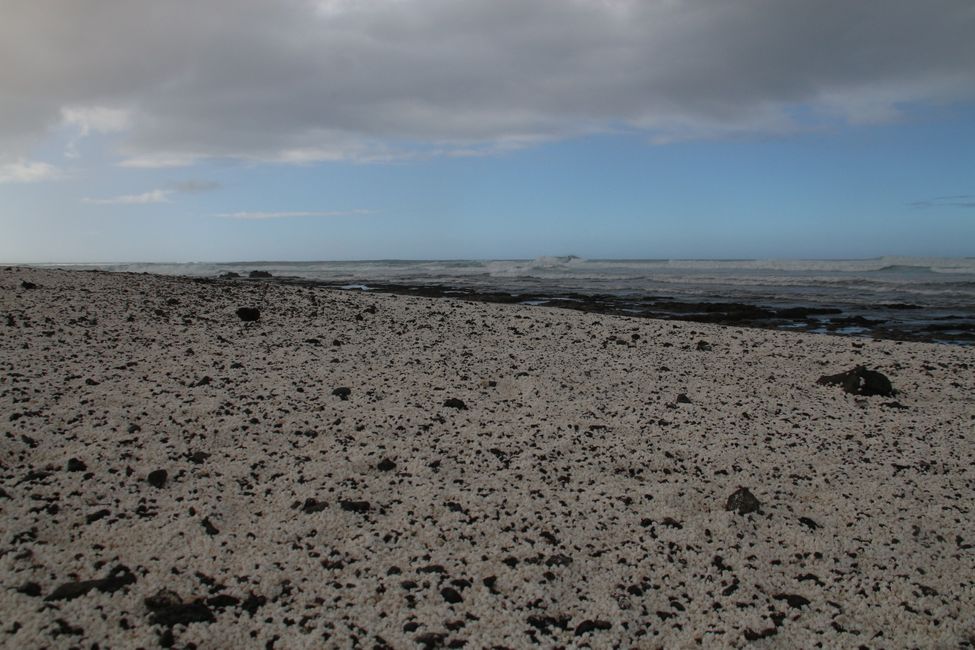 Lobos oroli + Punta Jandiya