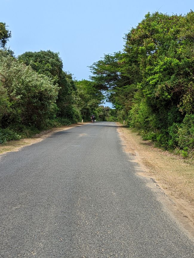 Weg zum Strand