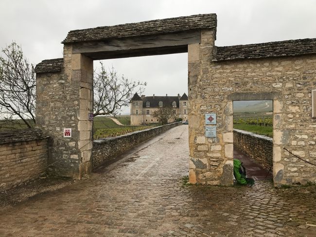 8th May/39th Day: Ferme de Saule - Nuits-St-Georges