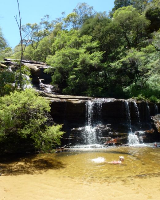 Wentworth Falls - Blue Mountains