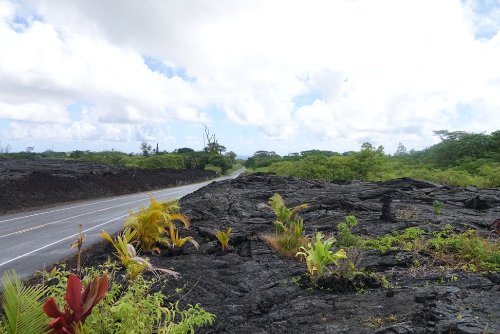 Hawaii 2022 - Teil 1: Big Island