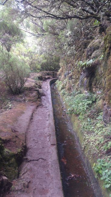 The first levada