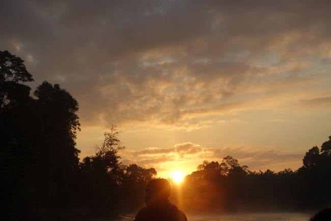 Kinabatang River  (Borneo Teil 2)