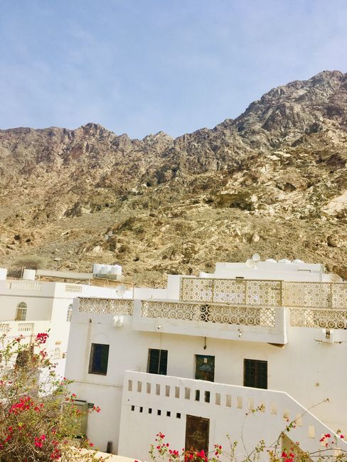 Muskat im Oman