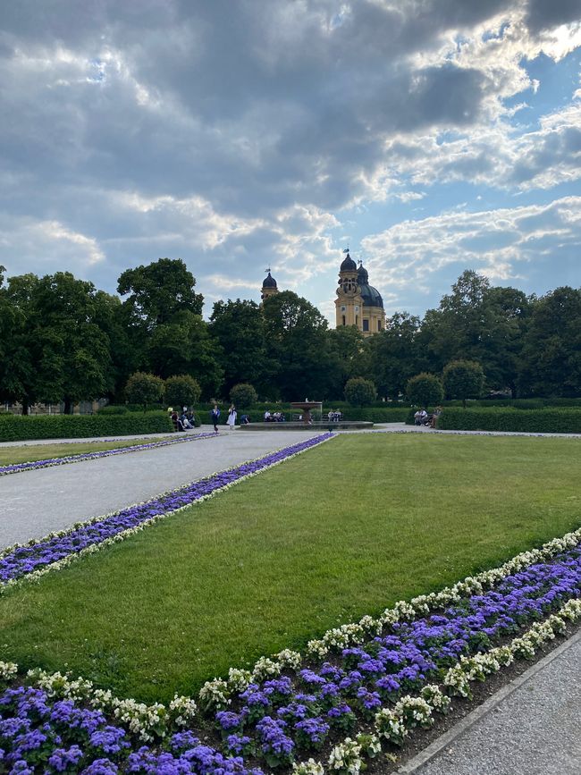 📍Hofgarten, München/ 📍courtyard garden, Munich 
