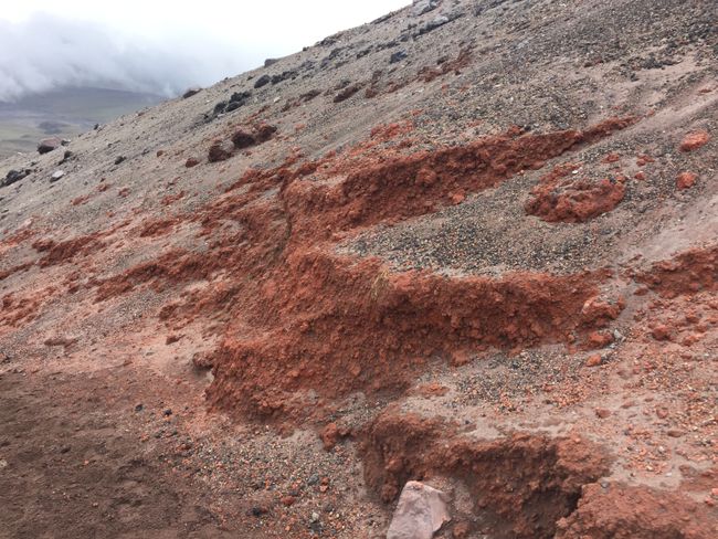 Red volcanic soil 🌋