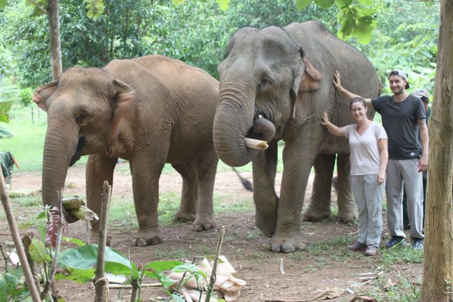 Two days with elephants