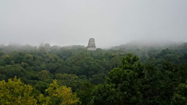 Maya ruins in Tikal