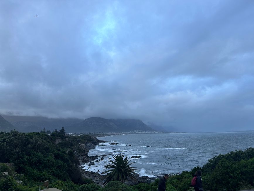 Hermanus ♥️