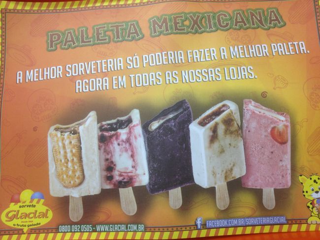 Brasilien: Manaus