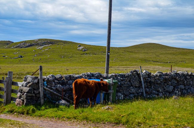 Tag 76 - Drumbeg Viewpoint