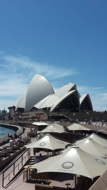 Spaziergang durch Sydney und geführte Tour durch den botanischen Garten