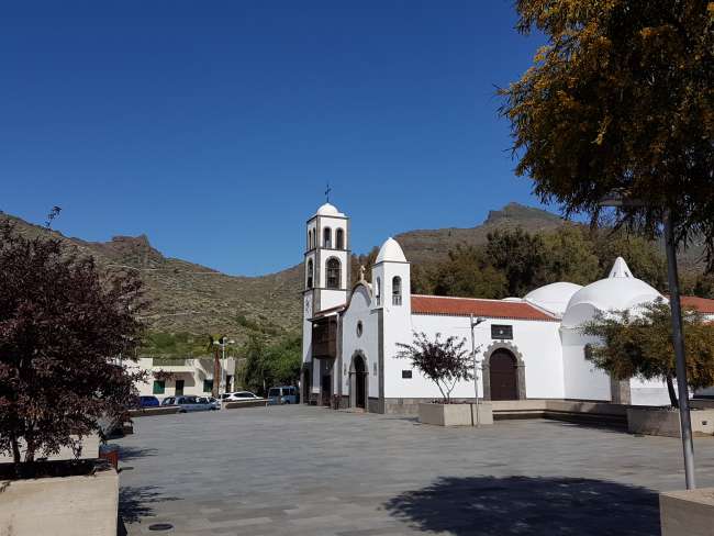 Kirche von Santiago del Teide und Mimose unterm Mimosenbaum