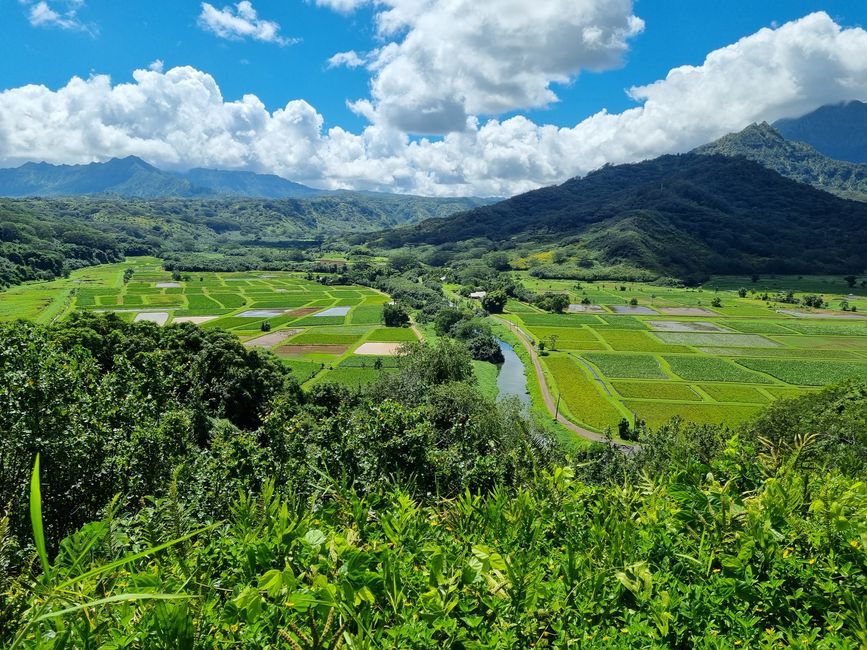 Hawaii 2022 - Teil 2: Kauai