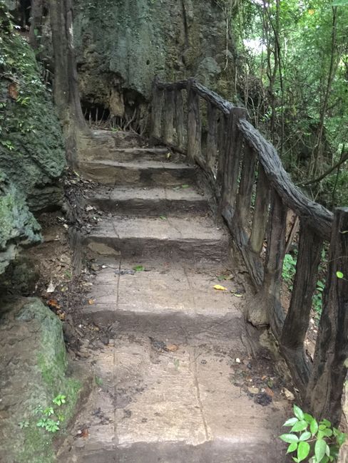 Stairs in the jungle