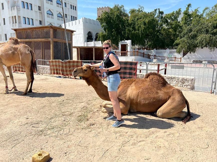 Das Kamel und ich 