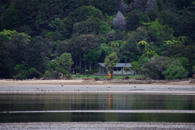 Abel Tasman Coast Track - Awaroa Hut