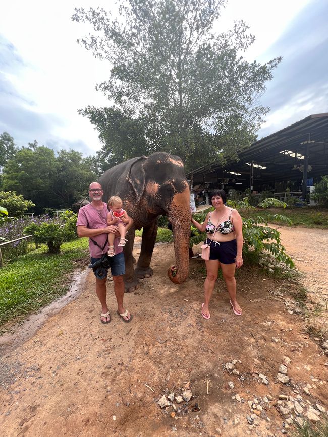 Das Elephant Jungle Sanctuary in Phuket