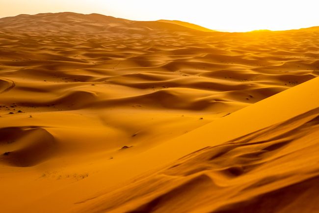 Wüstentour von FÈS nach MARRAKECH